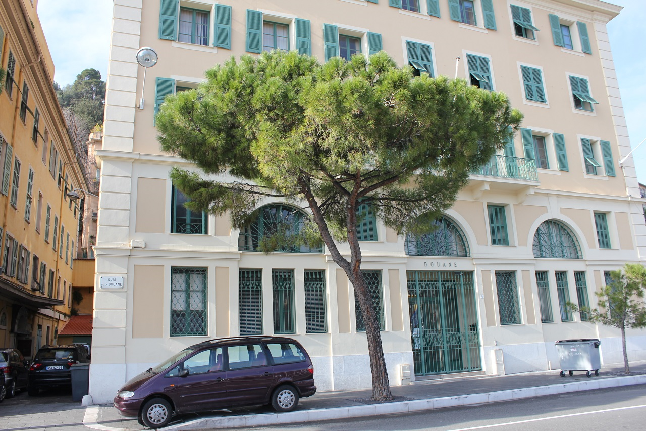 Tree input image A